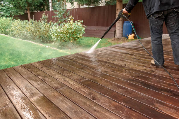 Best Boat and Dock Cleaning  in Swanton, OH
