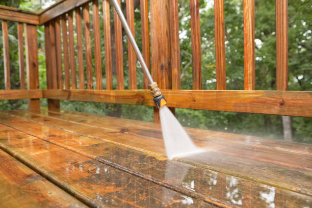 Best Gutter Cleaning  in Swanton, OH